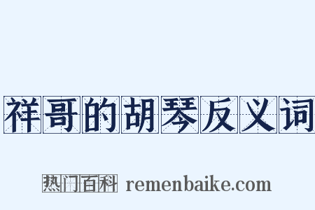 祥哥的胡琴反义词是什么意思的图片